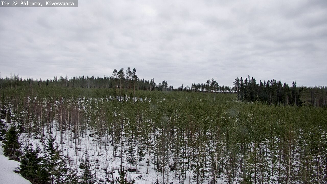 Weather Camera Image Road 22 Paltamo, Kivesvaara, Paltamo, Kainuu