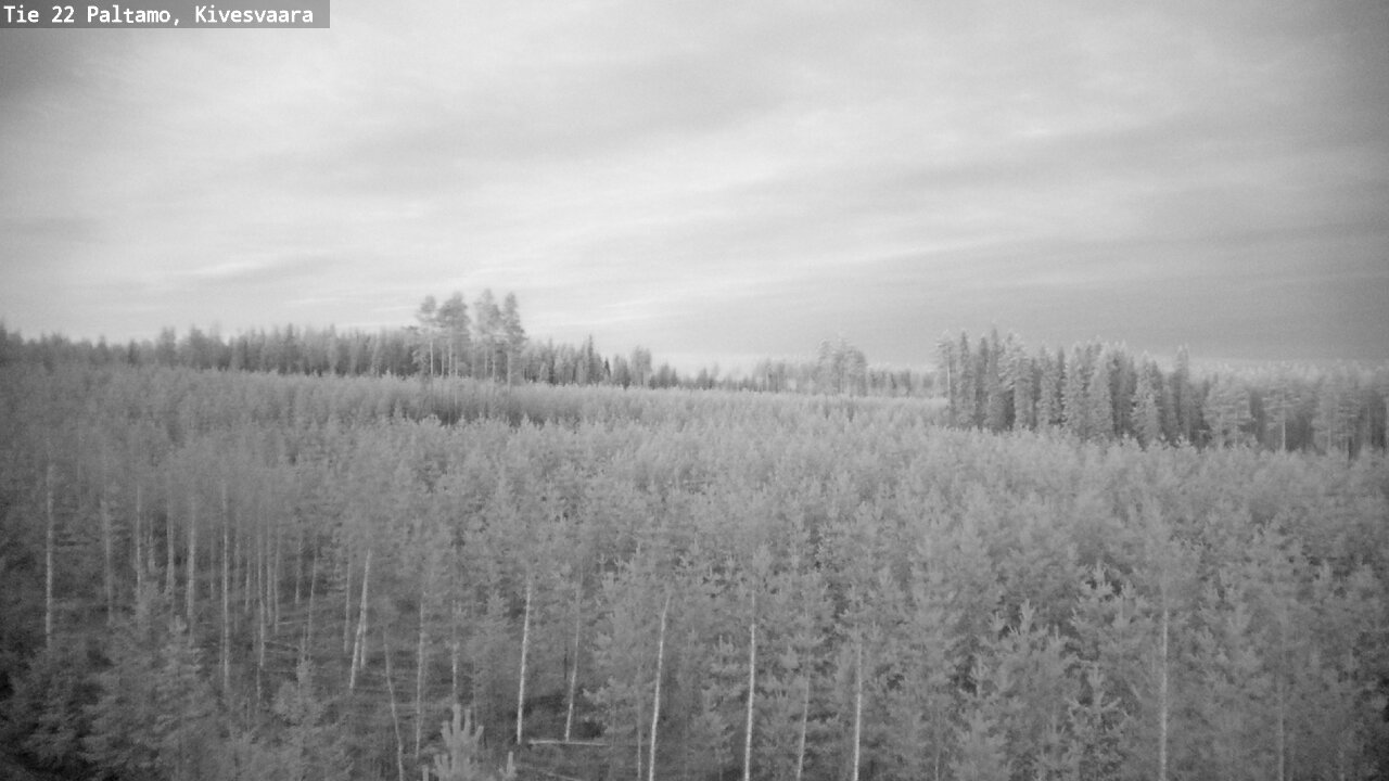 Weather Camera Image Road 22 Paltamo, Kivesvaara, Paltamo, Kainuu