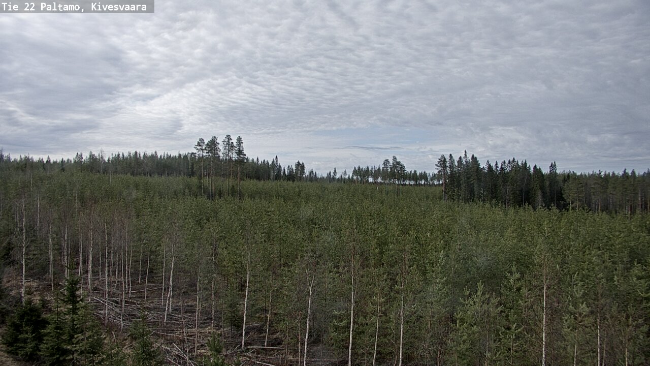 Weather Camera Image Väg 22 Paltamo, Kivesvaara, Paltamo, Kainuu