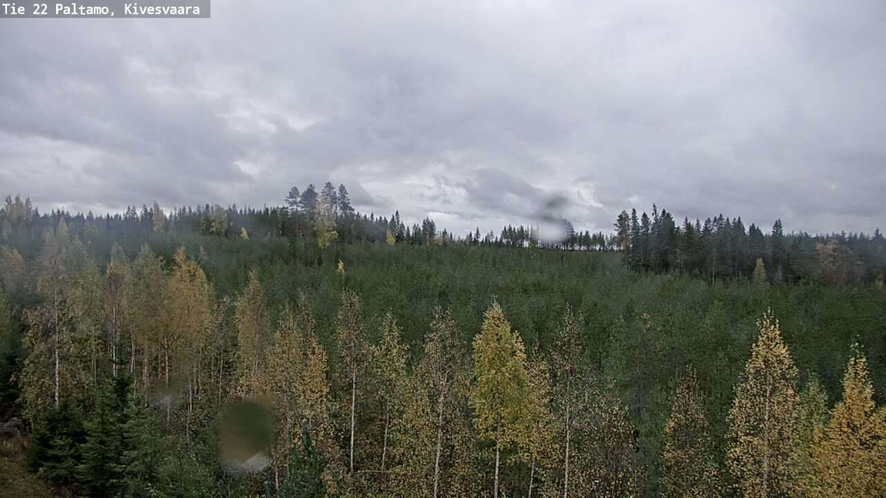 Weather Camera Image Road 22 Paltamo, Kivesvaara, Paltamo, Kainuu
