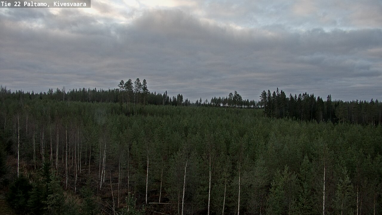 Kelikamerat Kuva Tie 22 Paltamo, Kivesvaara, Paltamo, Kainuu