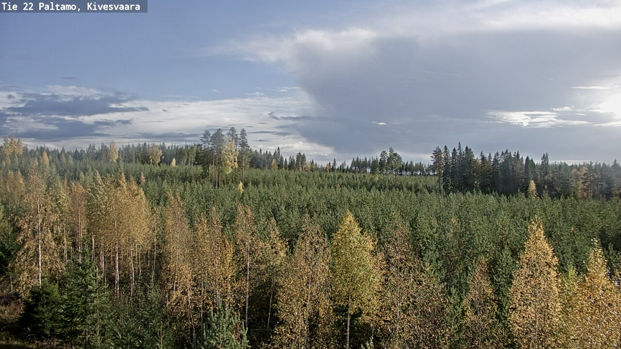 Kelikamerat Kuva Tie 22 Paltamo, Kivesvaara, Paltamo, Kainuu