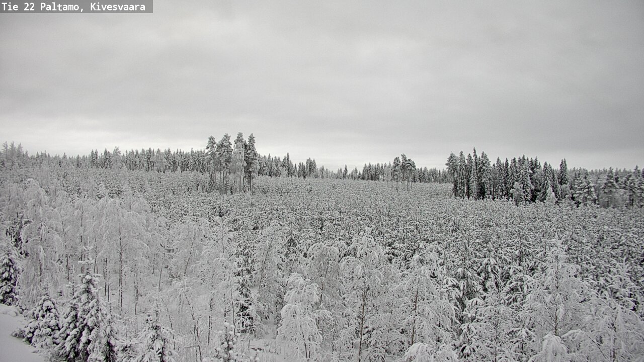 Kelikamerat Kuva Tie 22 Paltamo, Kivesvaara, Paltamo, Kainuu