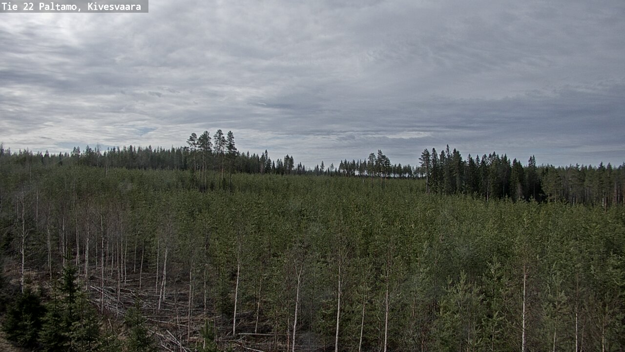 Weather Camera Image Väg 22 Paltamo, Kivesvaara, Paltamo, Kainuu