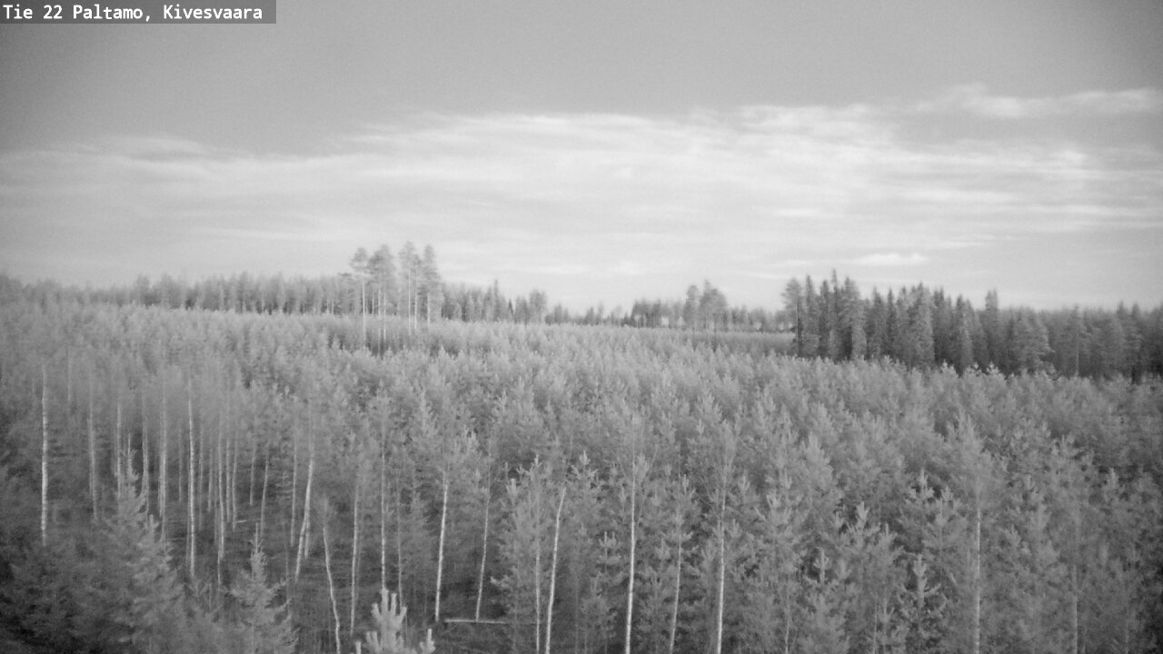 Weather Camera Image Road 22 Paltamo, Kivesvaara, Paltamo, Kainuu