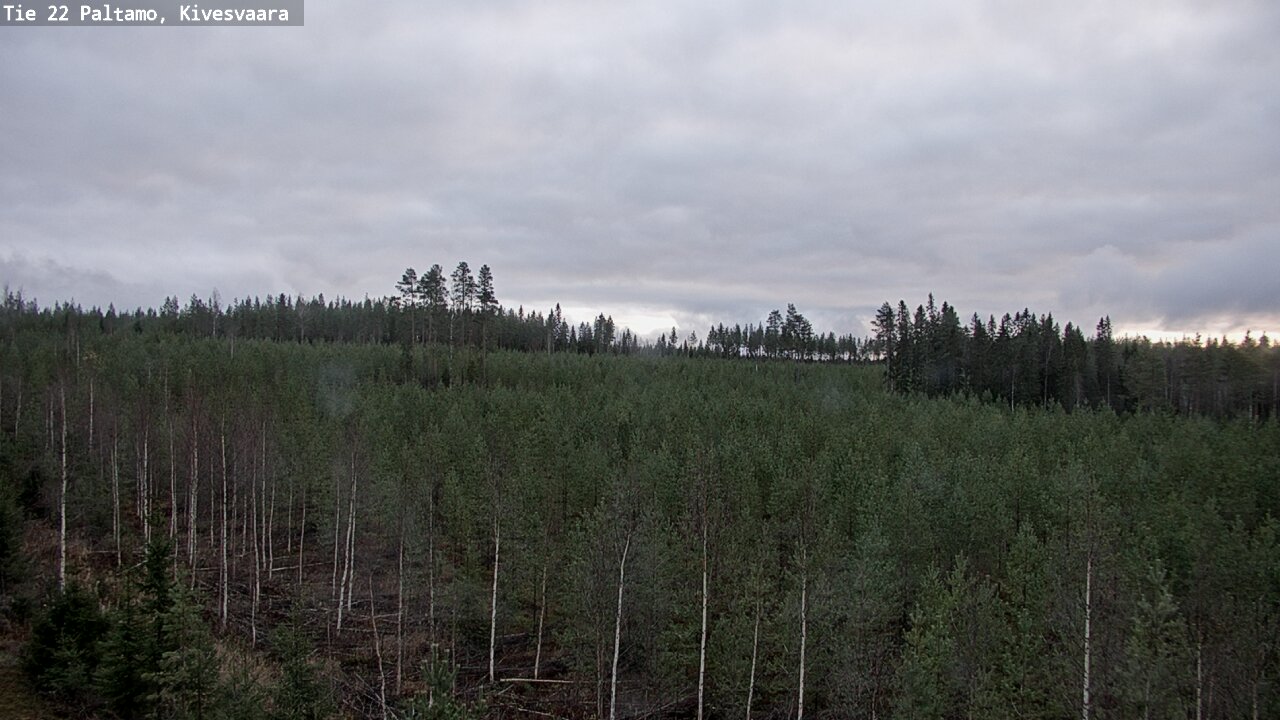 Kelikamerat Kuva Tie 22 Paltamo, Kivesvaara, Paltamo, Kainuu