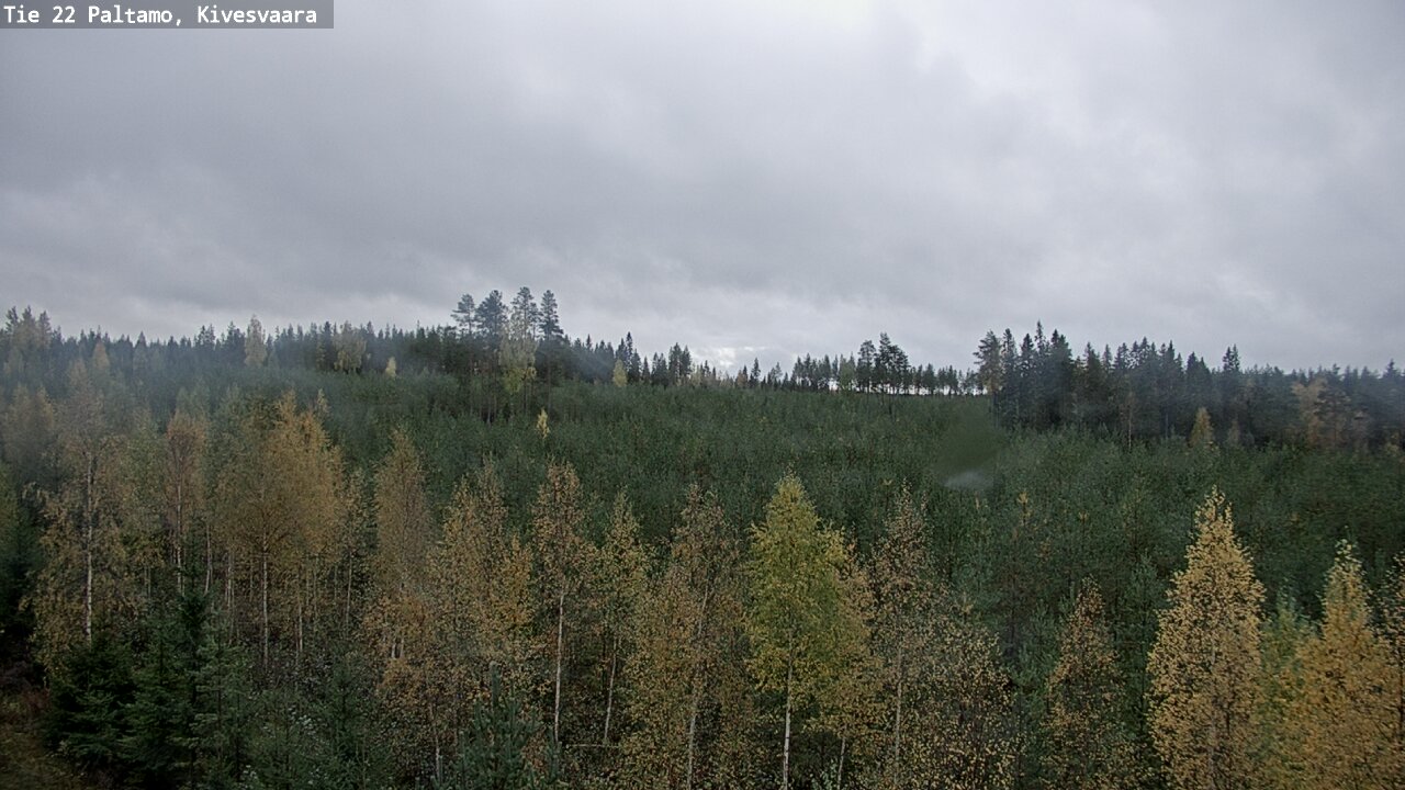 Kelikamerat Kuva Tie 22 Paltamo, Kivesvaara, Paltamo, Kainuu