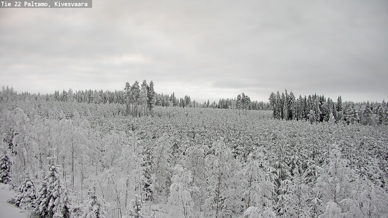 Kelikamerat Kuva Tie 22 Paltamo, Kivesvaara, Paltamo, Kainuu