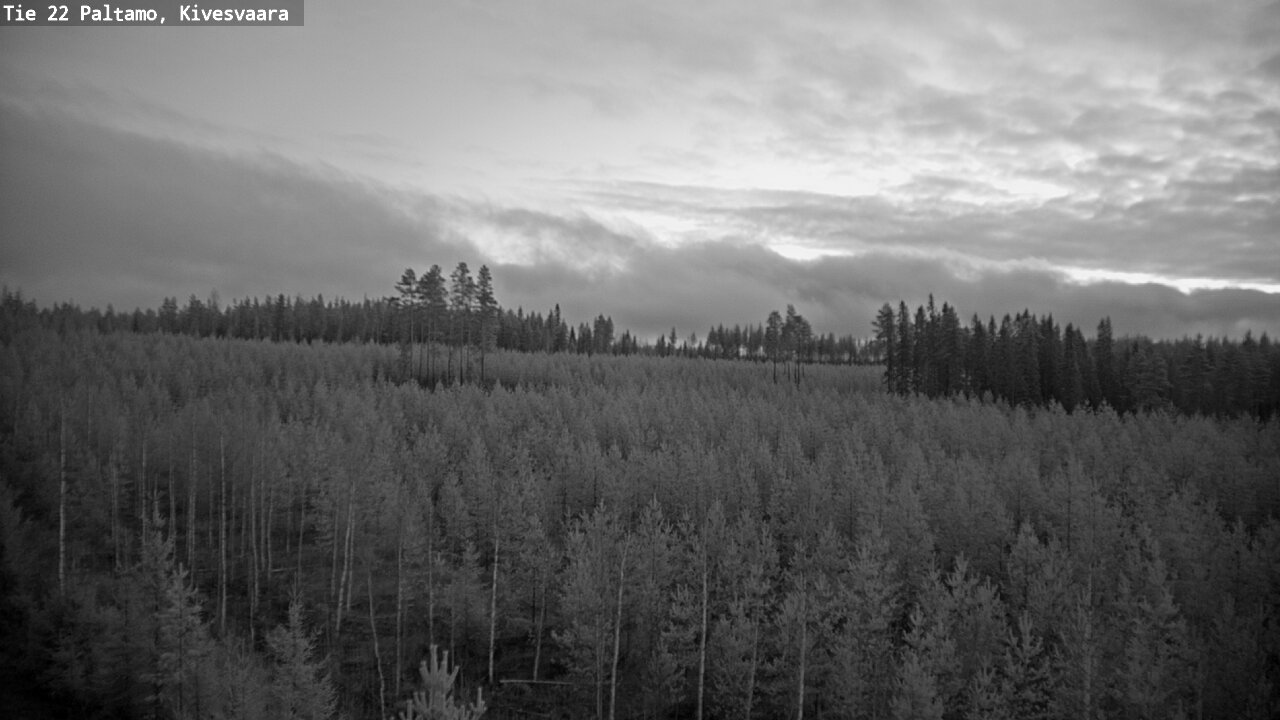 Kelikamerat Kuva Tie 22 Paltamo, Kivesvaara, Paltamo, Kainuu