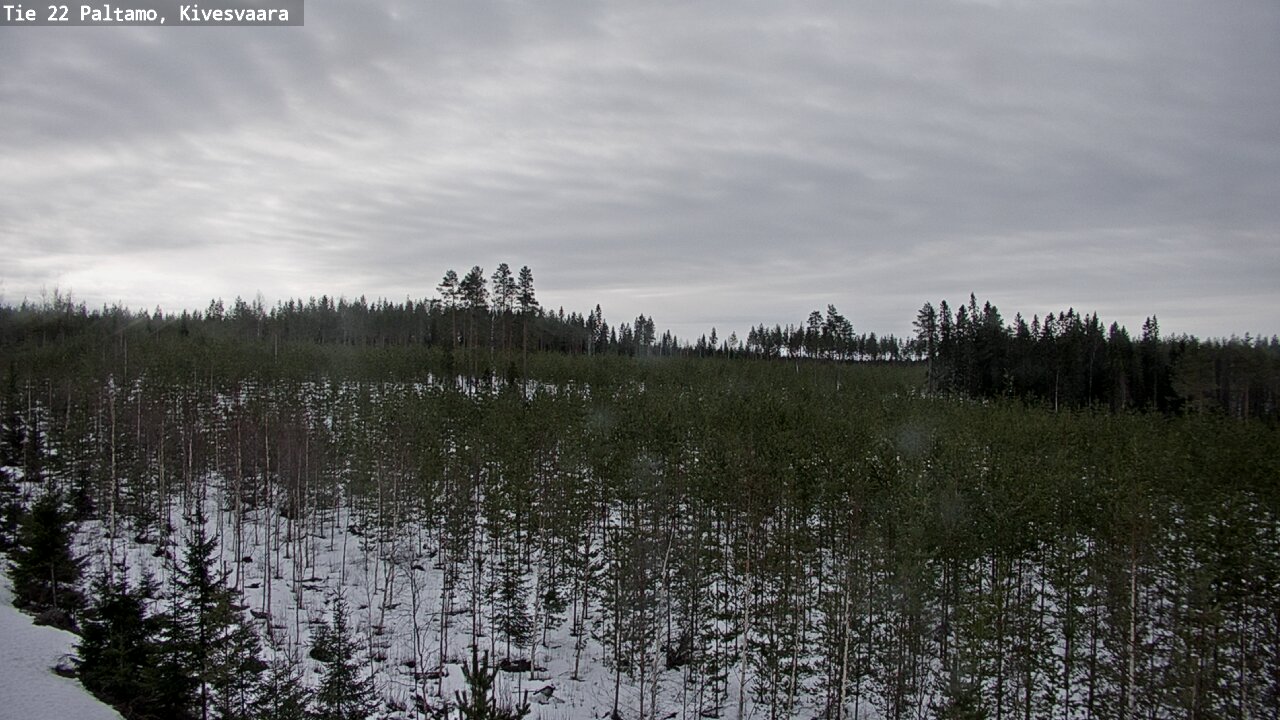 Weather Camera Image Väg 22 Paltamo, Kivesvaara, Paltamo, Kainuu
