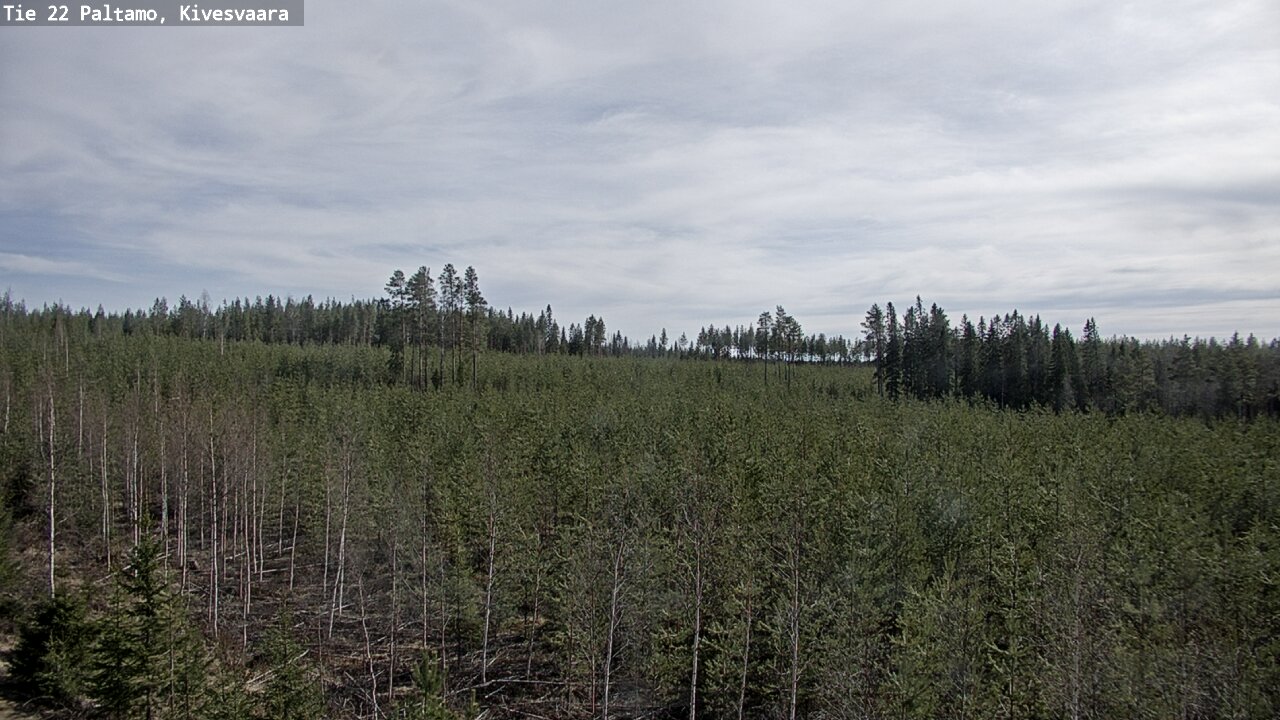 Weather Camera Image Road 22 Paltamo, Kivesvaara, Paltamo, Kainuu