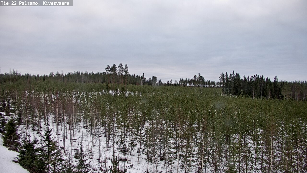 Kelikamerat Kuva Tie 22 Paltamo, Kivesvaara, Paltamo, Kainuu