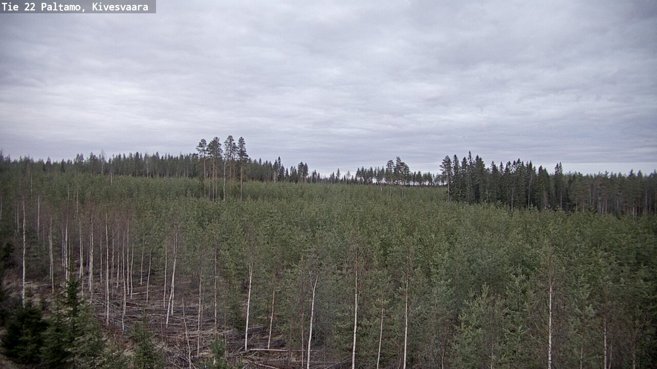 Weather Camera Image Road 22 Paltamo, Kivesvaara, Paltamo, Kainuu