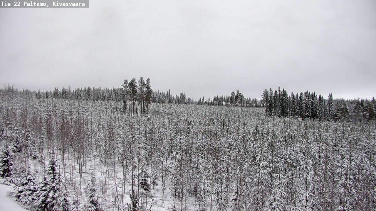 Weather Camera Image Väg 22 Paltamo, Kivesvaara, Paltamo, Kainuu