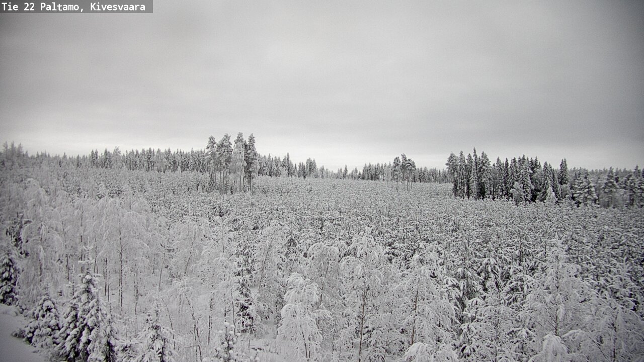Kelikamerat Kuva Tie 22 Paltamo, Kivesvaara, Paltamo, Kainuu