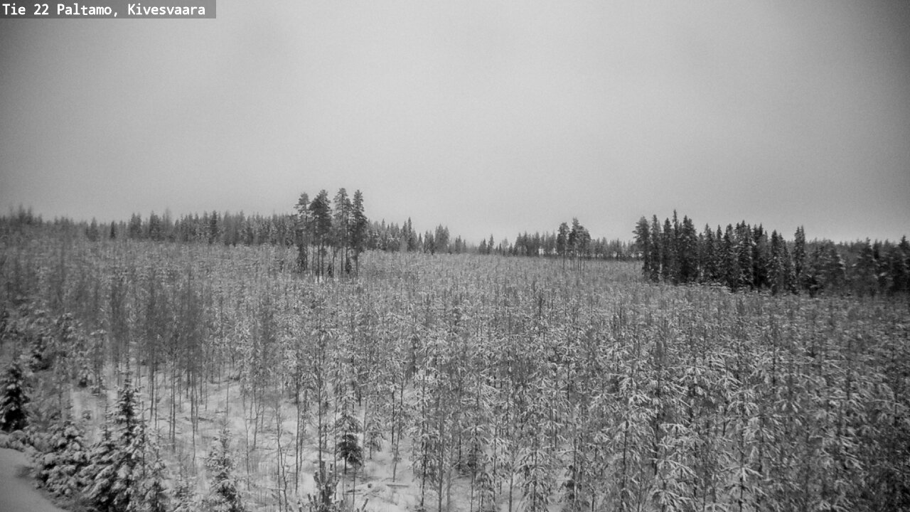 Weather Camera Image Väg 22 Paltamo, Kivesvaara, Paltamo, Kainuu