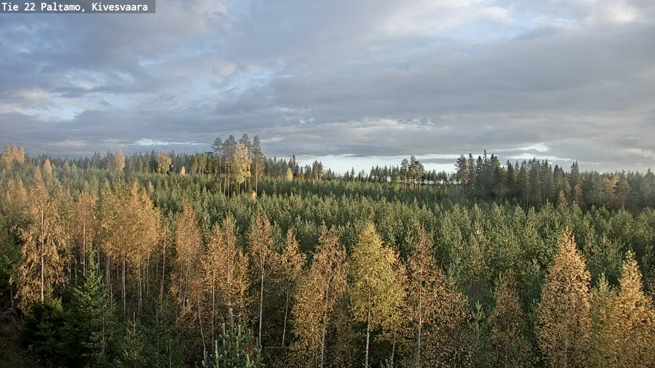 Kelikamerat Kuva Tie 22 Paltamo, Kivesvaara, Paltamo, Kainuu