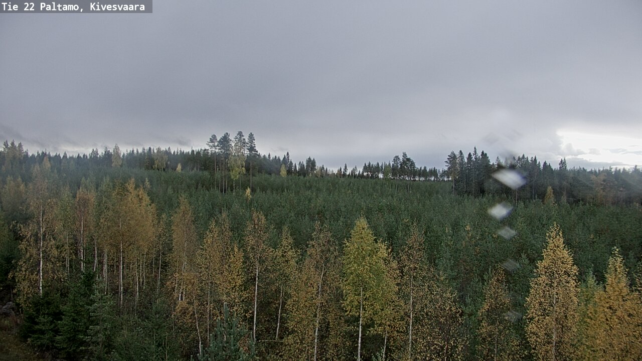 Kelikamerat Kuva Tie 22 Paltamo, Kivesvaara, Paltamo, Kainuu