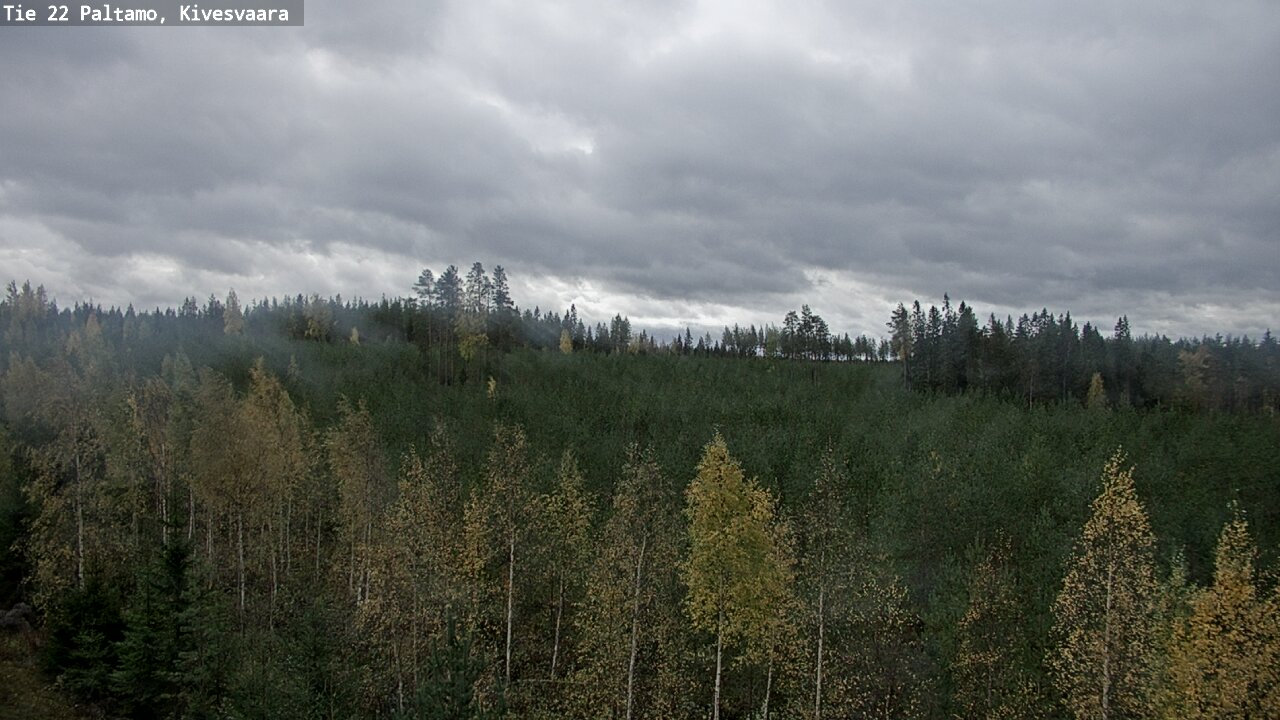 Weather Camera Image Road 22 Paltamo, Kivesvaara, Paltamo, Kainuu