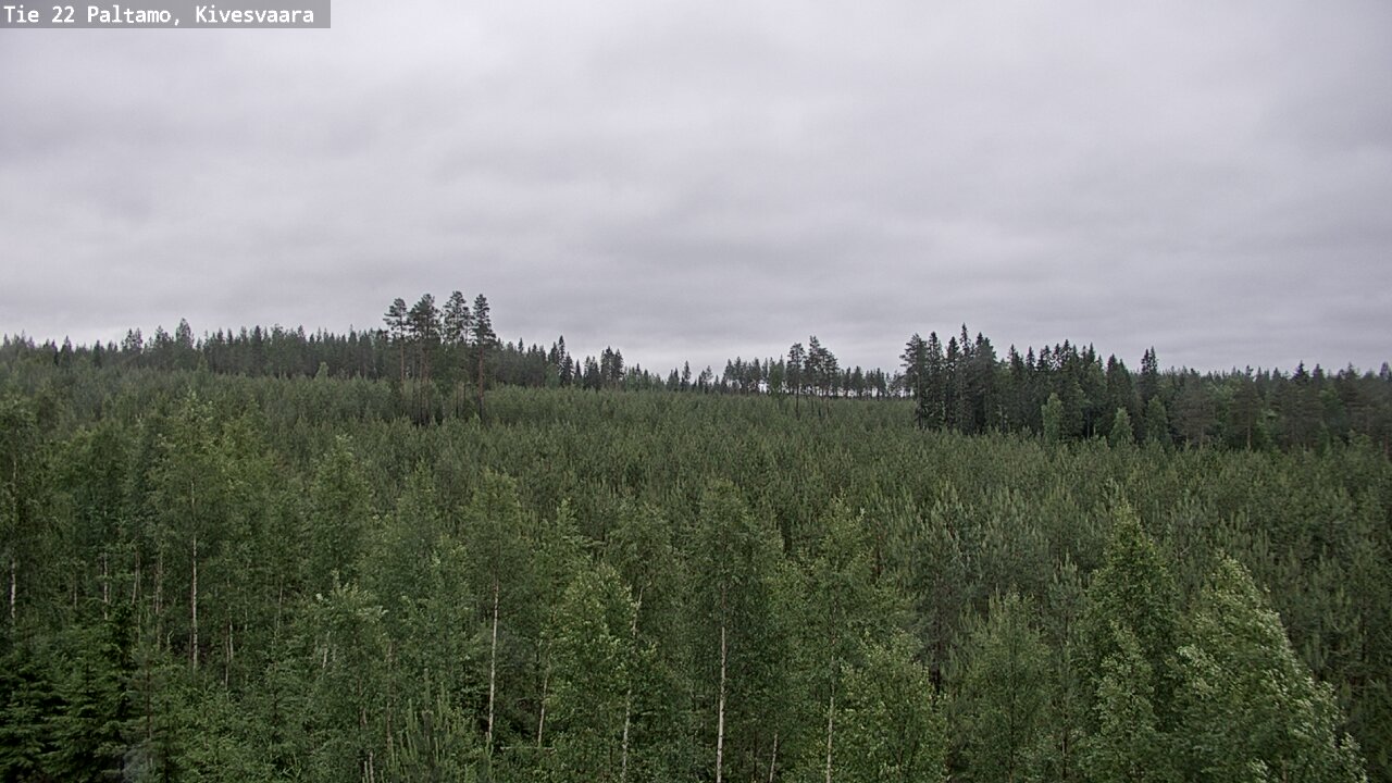 Weather Camera Image Road 22 Paltamo, Kivesvaara, Paltamo, Kainuu