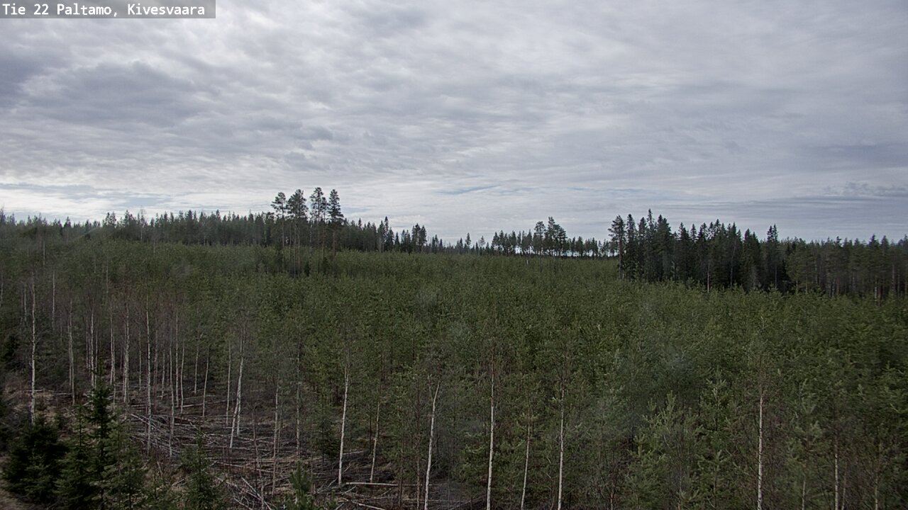 Weather Camera Image Väg 22 Paltamo, Kivesvaara, Paltamo, Kainuu