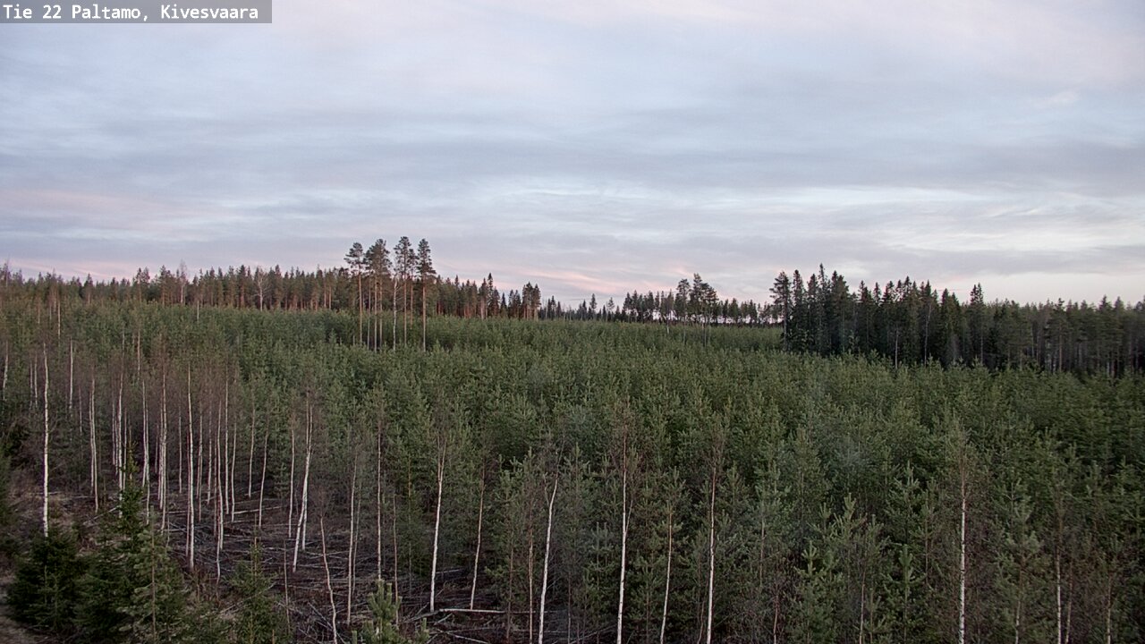 Weather Camera Image Road 22 Paltamo, Kivesvaara, Paltamo, Kainuu
