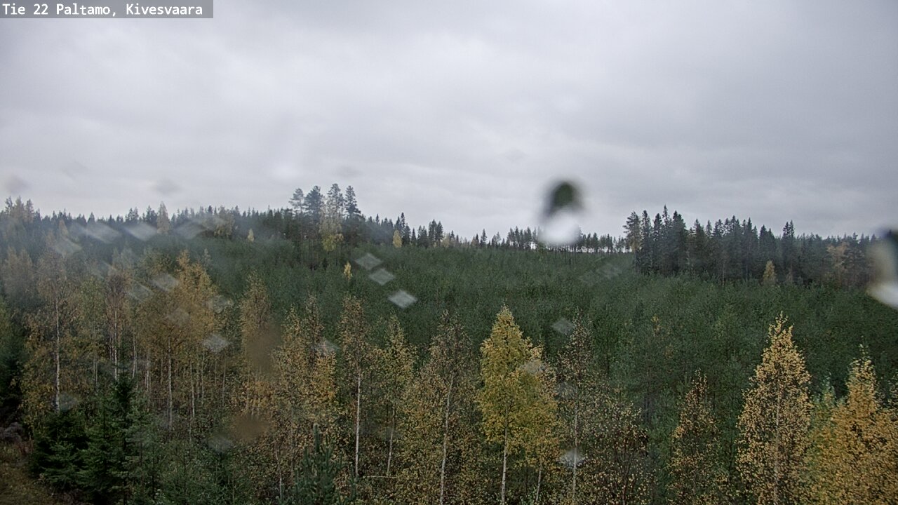 Weather Camera Image Road 22 Paltamo, Kivesvaara, Paltamo, Kainuu
