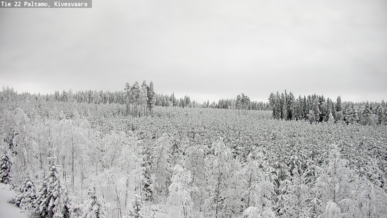 Weather Camera Image Road 22 Paltamo, Kivesvaara, Paltamo, Kainuu