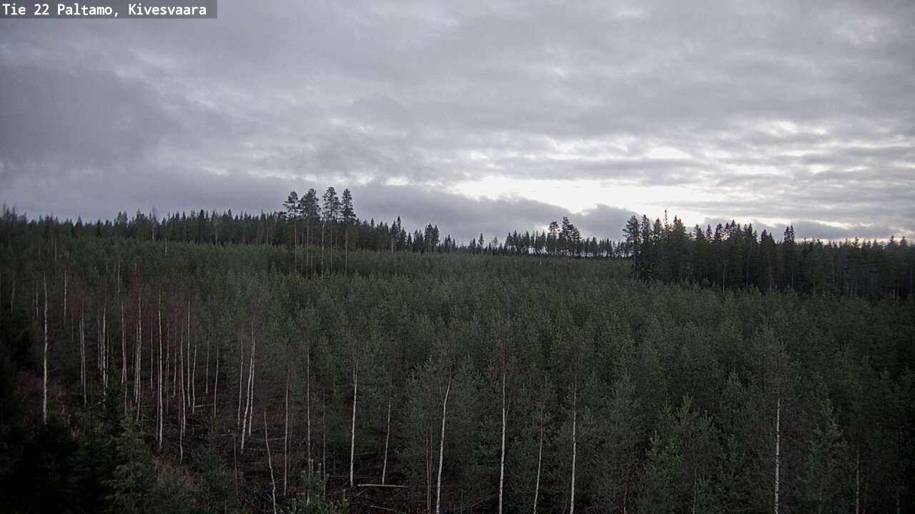 Kelikamerat Kuva Tie 22 Paltamo, Kivesvaara, Paltamo, Kainuu