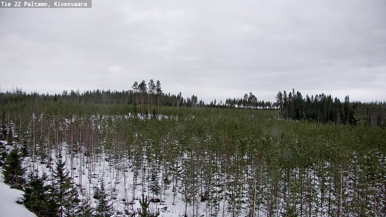 Kelikamerat Kuva Tie 22 Paltamo, Kivesvaara, Paltamo, Kainuu