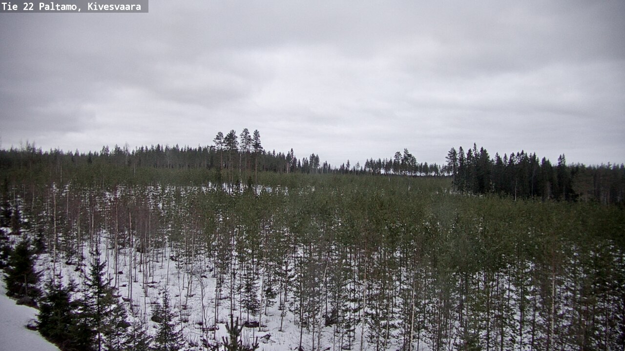 Kelikamerat Kuva Tie 22 Paltamo, Kivesvaara, Paltamo, Kainuu