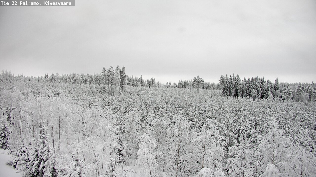 Weather Camera Image Väg 22 Paltamo, Kivesvaara, Paltamo, Kainuu