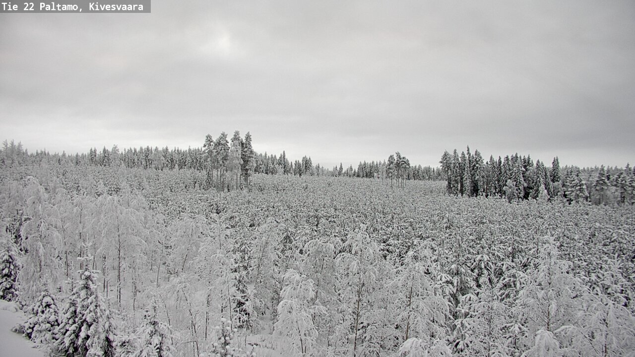 Kelikamerat Kuva Tie 22 Paltamo, Kivesvaara, Paltamo, Kainuu