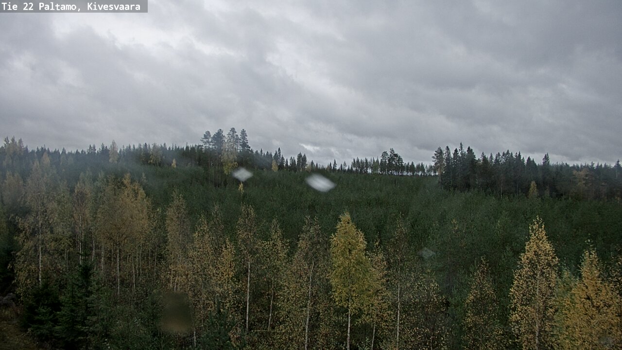 Weather Camera Image Road 22 Paltamo, Kivesvaara, Paltamo, Kainuu
