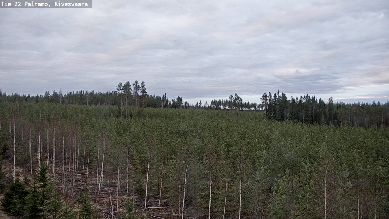 Weather Camera Image Road 22 Paltamo, Kivesvaara, Paltamo, Kainuu