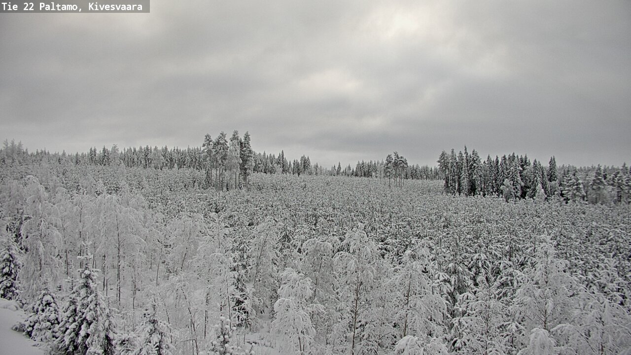 Weather Camera Image Road 22 Paltamo, Kivesvaara, Paltamo, Kainuu