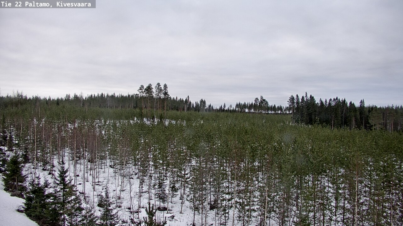 Kelikamerat Kuva Tie 22 Paltamo, Kivesvaara, Paltamo, Kainuu