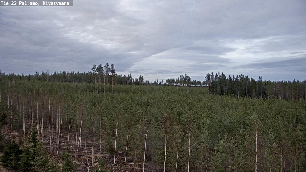 Weather Camera Image Road 22 Paltamo, Kivesvaara, Paltamo, Kainuu