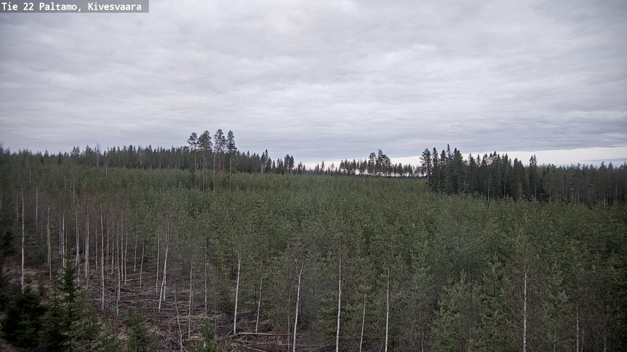 Weather Camera Image Road 22 Paltamo, Kivesvaara, Paltamo, Kainuu
