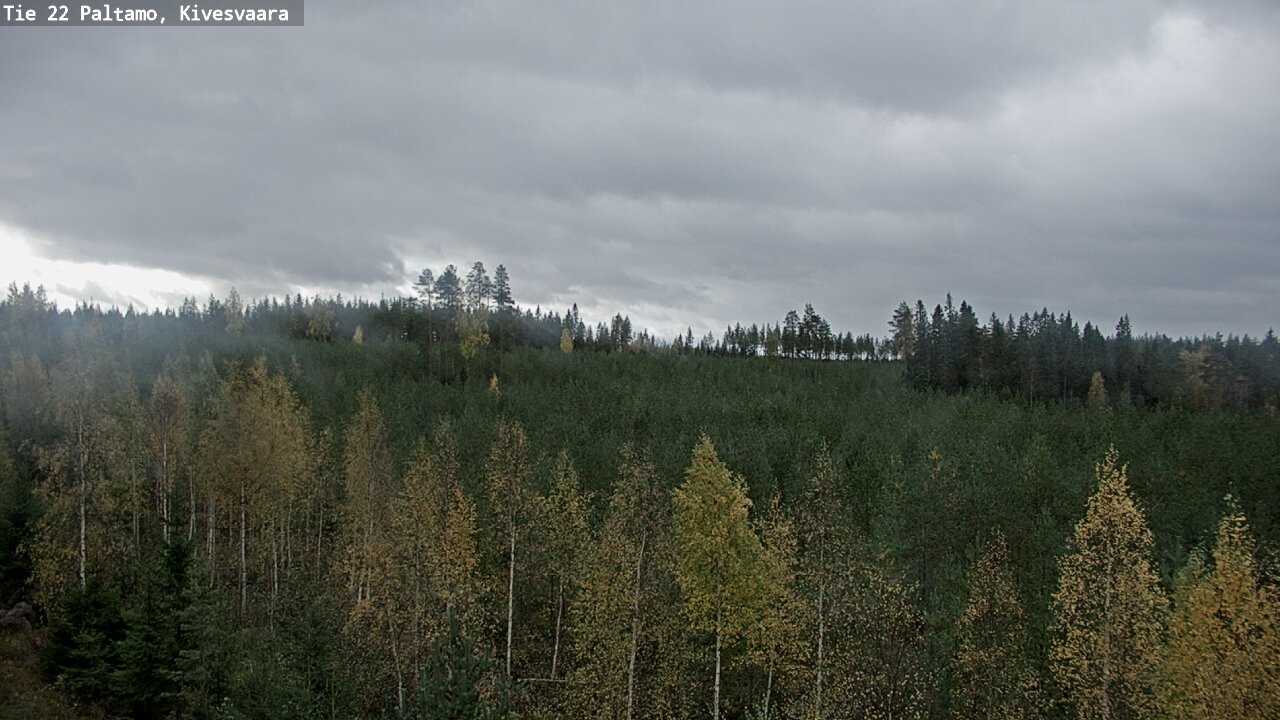 Weather Camera Image Road 22 Paltamo, Kivesvaara, Paltamo, Kainuu