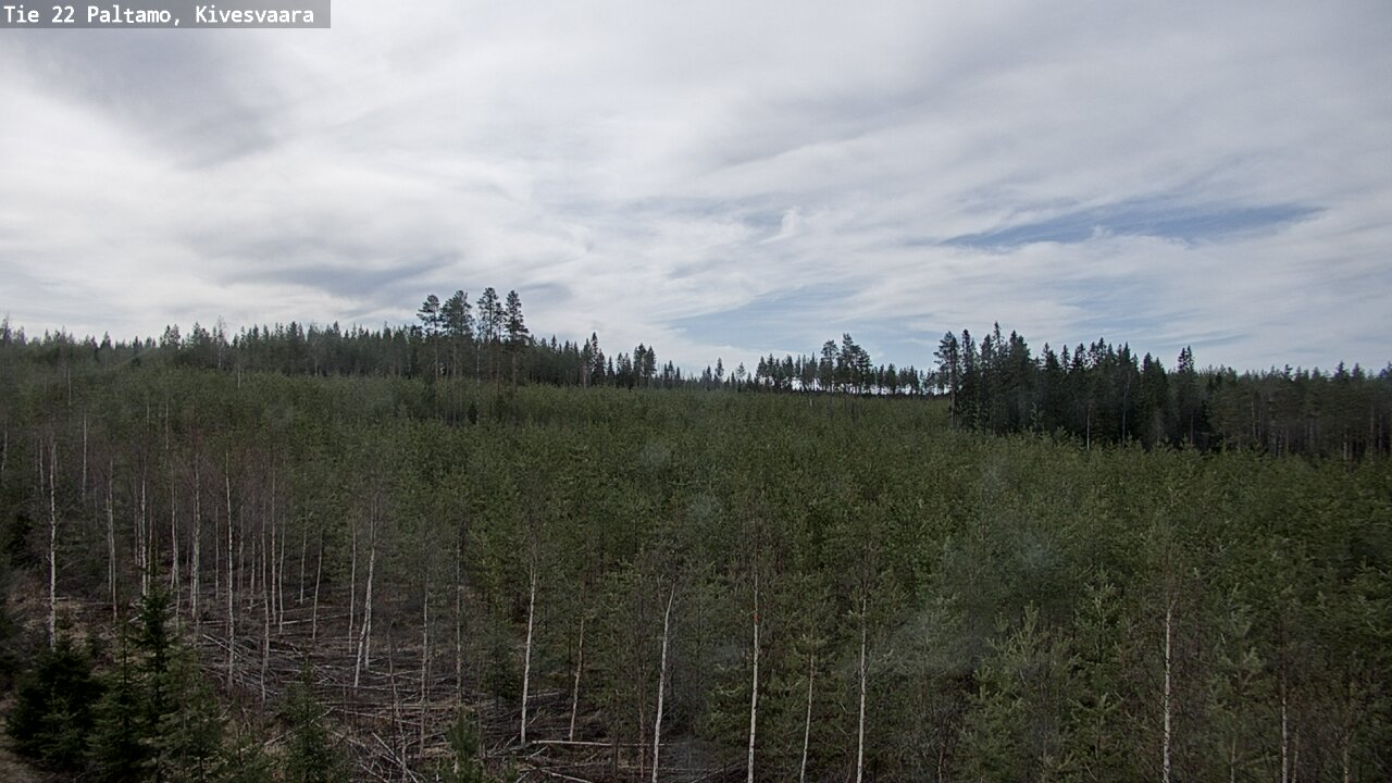 Weather Camera Image Road 22 Paltamo, Kivesvaara, Paltamo, Kainuu