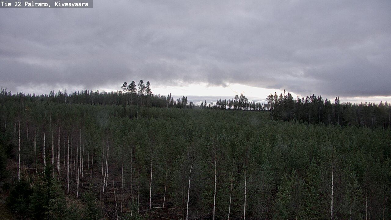 Kelikamerat Kuva Tie 22 Paltamo, Kivesvaara, Paltamo, Kainuu