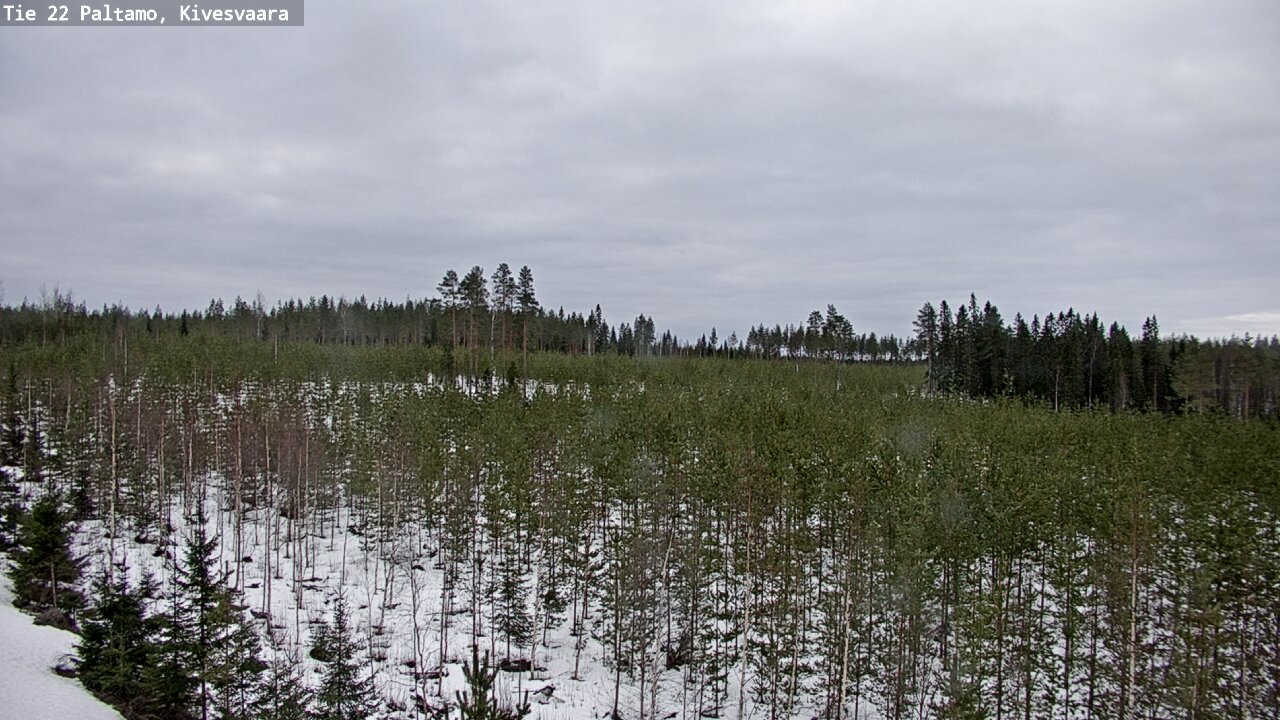 Kelikamerat Kuva Tie 22 Paltamo, Kivesvaara, Paltamo, Kainuu