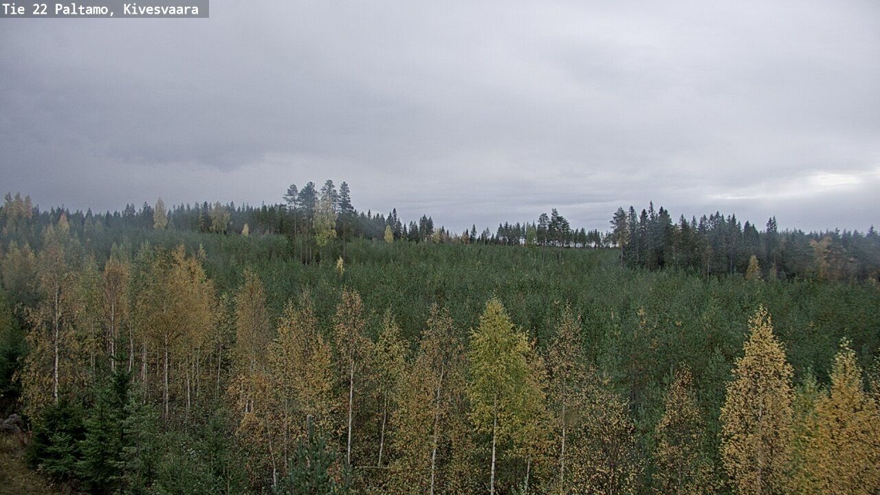 Kelikamerat Kuva Tie 22 Paltamo, Kivesvaara, Paltamo, Kainuu