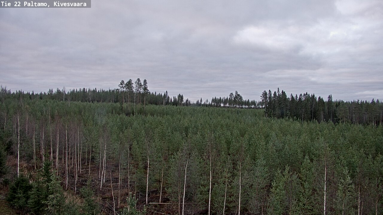 Kelikamerat Kuva Tie 22 Paltamo, Kivesvaara, Paltamo, Kainuu