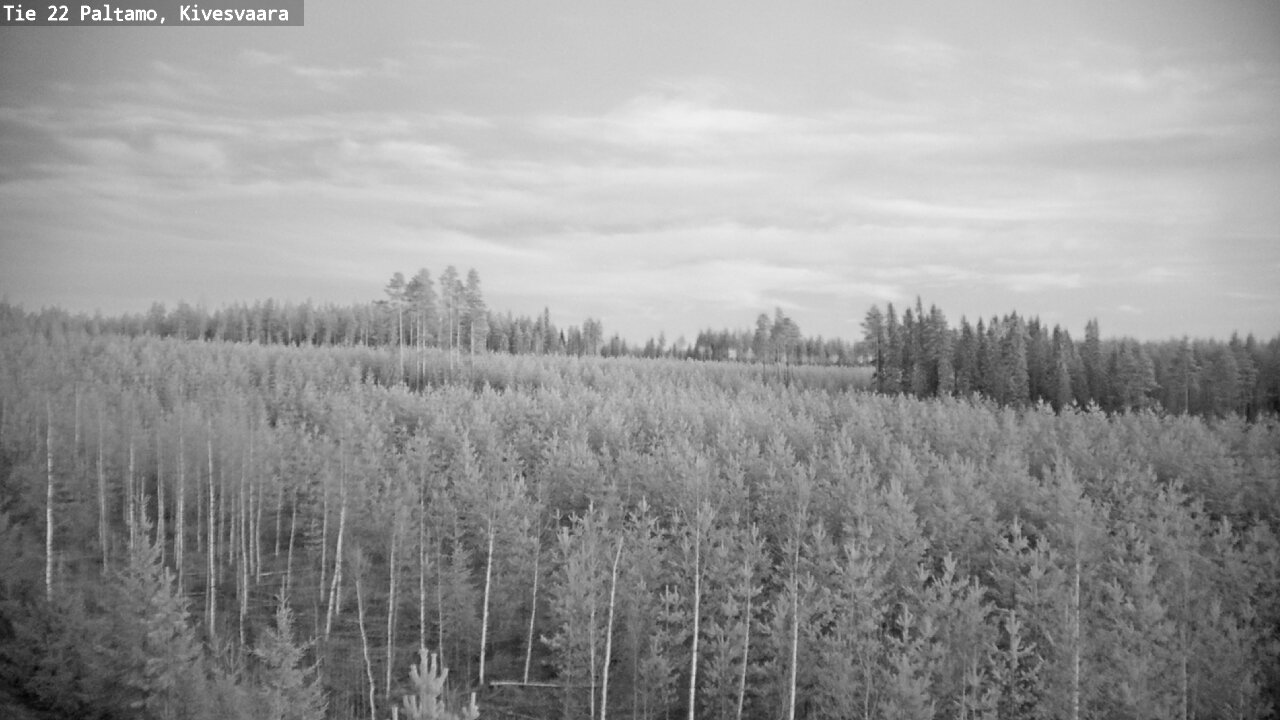 Weather Camera Image Road 22 Paltamo, Kivesvaara, Paltamo, Kainuu