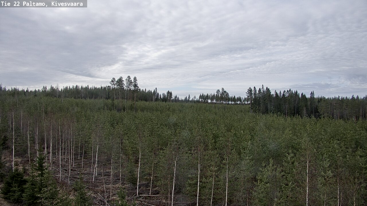 Weather Camera Image Väg 22 Paltamo, Kivesvaara, Paltamo, Kainuu