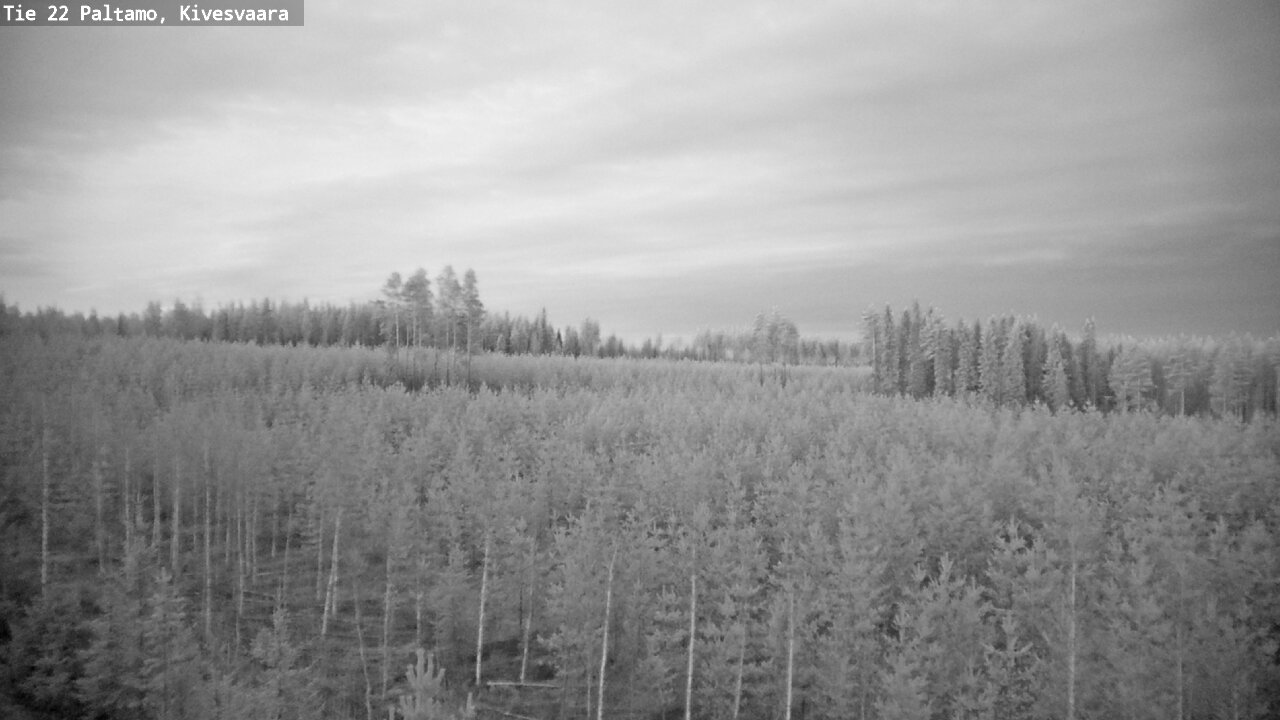 Weather Camera Image Road 22 Paltamo, Kivesvaara, Paltamo, Kainuu