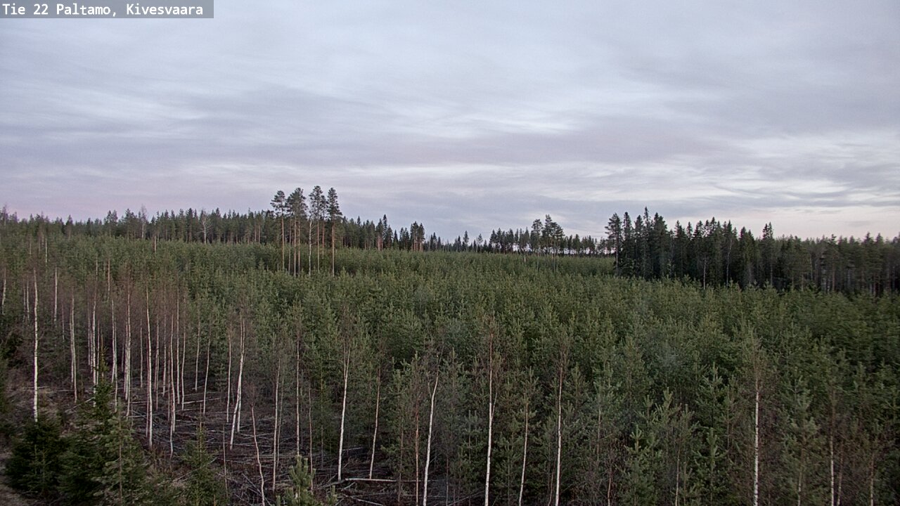 Weather Camera Image Road 22 Paltamo, Kivesvaara, Paltamo, Kainuu
