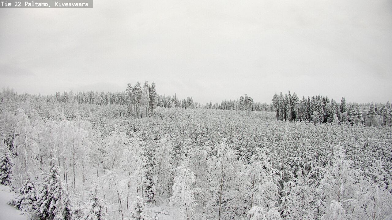 Kelikamerat Kuva Tie 22 Paltamo, Kivesvaara, Paltamo, Kainuu